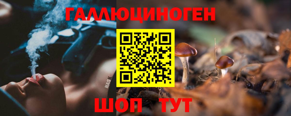 как найти закладки  Вход с VPN  Кандалакша  Галлюциногенные грибы прущие грибы  Псилоцибиновые грибы ЛСД 